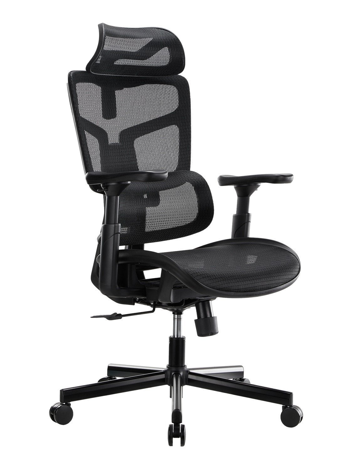 Lumivida Office Chair Ergonomic Mesh Lumbar Support Adjustable Seat/Armrest Black CH10-10