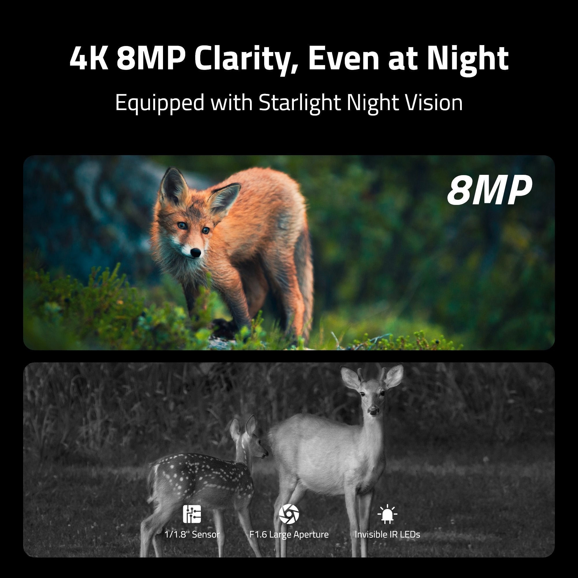 Reolink BP4G Outdoor Battery Camera 4K Wildlife Camovue Talon Series S130