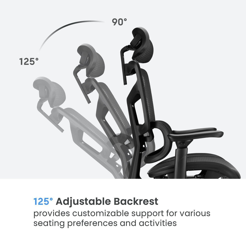 Lumivida Office Chair Ergonomic Mesh Lumbar Support Adjustable Seat/Armrest Black CH10-10
