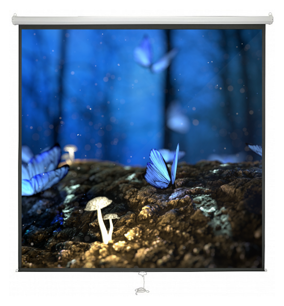 AVLink Manual Projector Screen 118” 2.13×2.13 999.040UK OfficeWorks