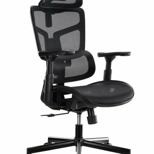 Lumivida Office Chair Ergonomic Mesh Lumbar Support Adjustable Seat/Armrest Black CH10-10