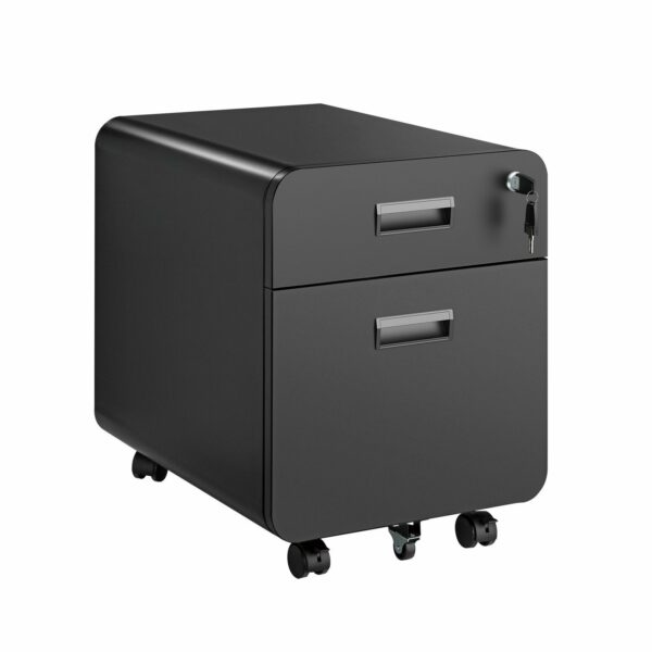 Lumivida File Cabinet Mobile with 2 Lockable Drawers CAB03-1