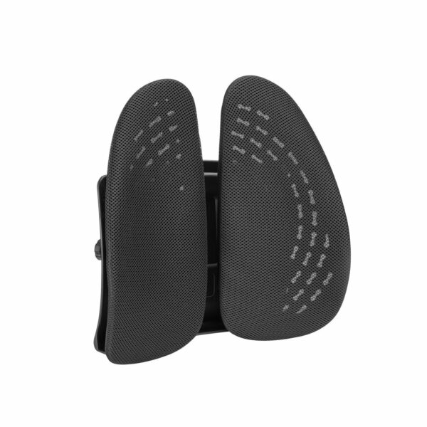 Lumivida Ergonomic Lumbar Support Cushion Ergonomic with Breathable Mesh Cover RLC03-1