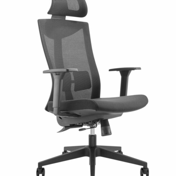Lumivida Office Chair Ergonomic Mesh Lumbar Support Adjustable Seat/Armrest/Headrest Black CH05-8