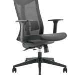 Lumivida Office Chair Ergonomic Mesh Lumbar Support Adjustable Seat/Armrest Black CH05-7