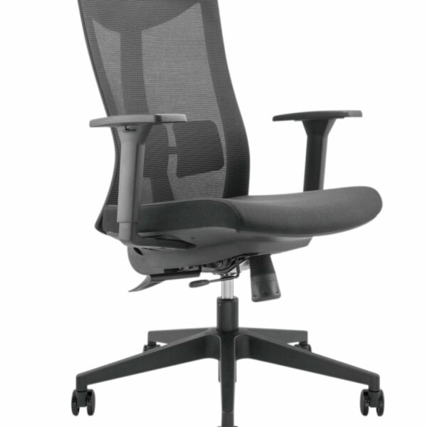Lumivida Office Chair Ergonomic Mesh Lumbar Support Adjustable Seat/Armrest Black CH05-7