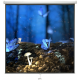 Projector_Screens_22688